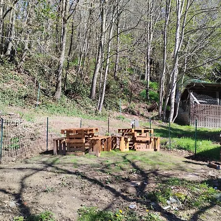 La Marmotta 3*