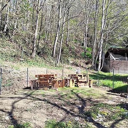 La Marmotta Bed & Breakfast